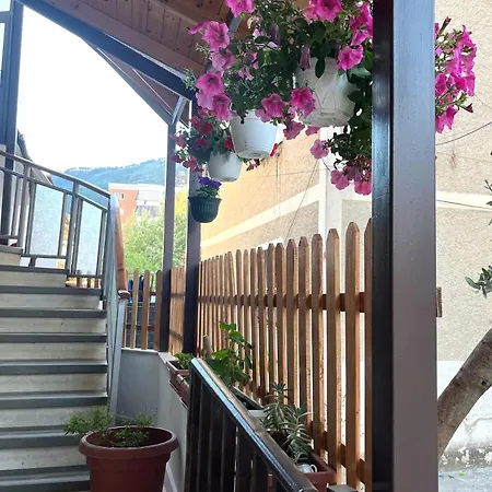 Apartment Berat Central Studio